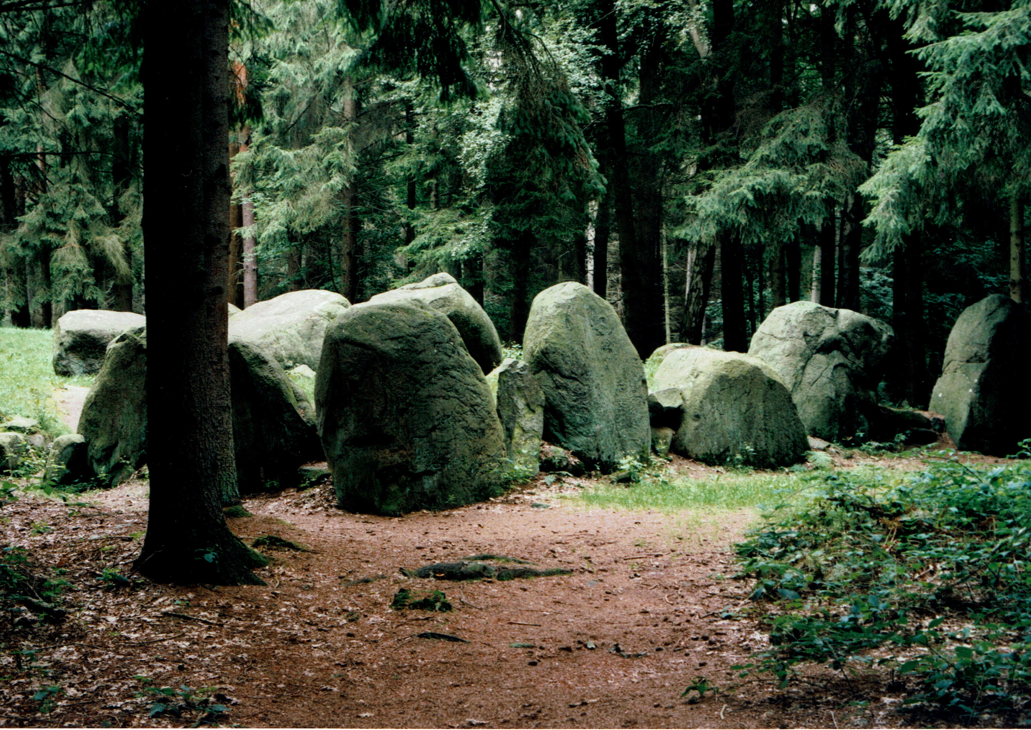 Heiliger Hain Everstorfer Forst - Sacred Grove Everstorfer Forest Germany